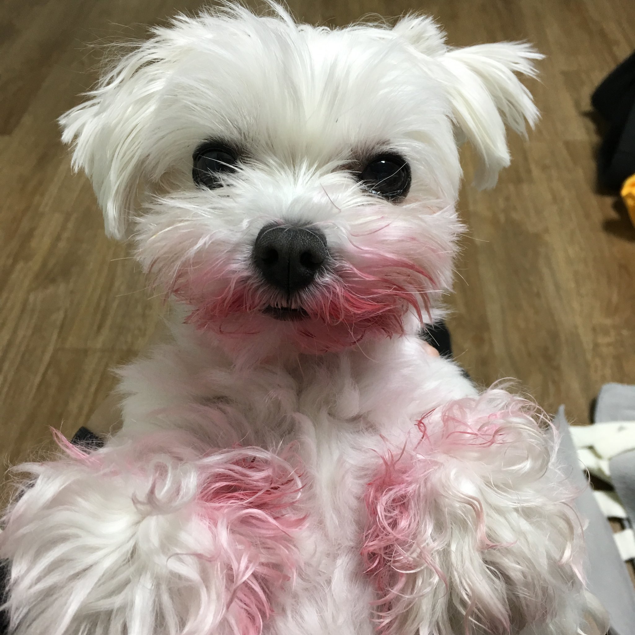 [잡담] 이거 전정국 아니가 | 인스티즈