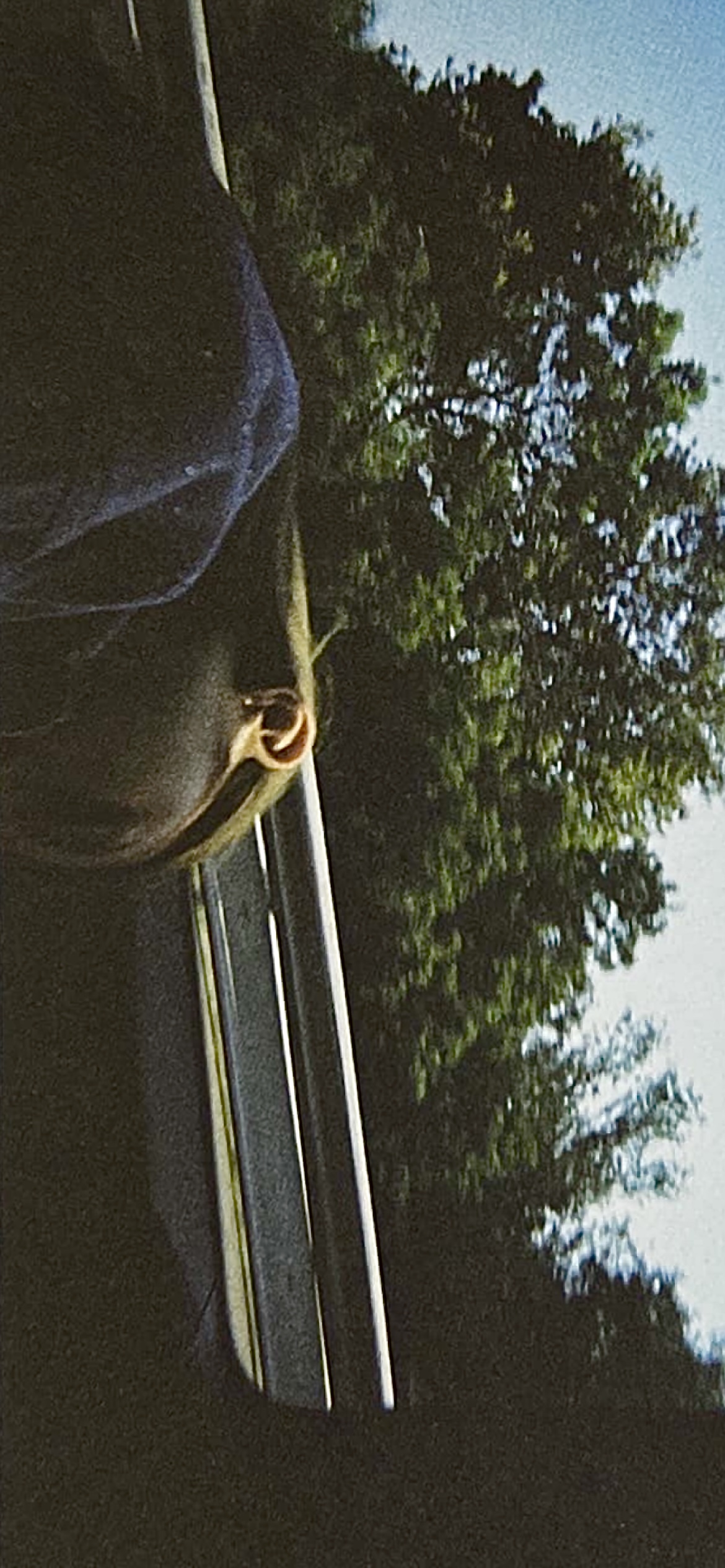 [잡담] 뉴진스 가방 앨범 사진 스캔하고 보정해봤는데 쓸 사람 있니 (스압주의 | 인스티즈