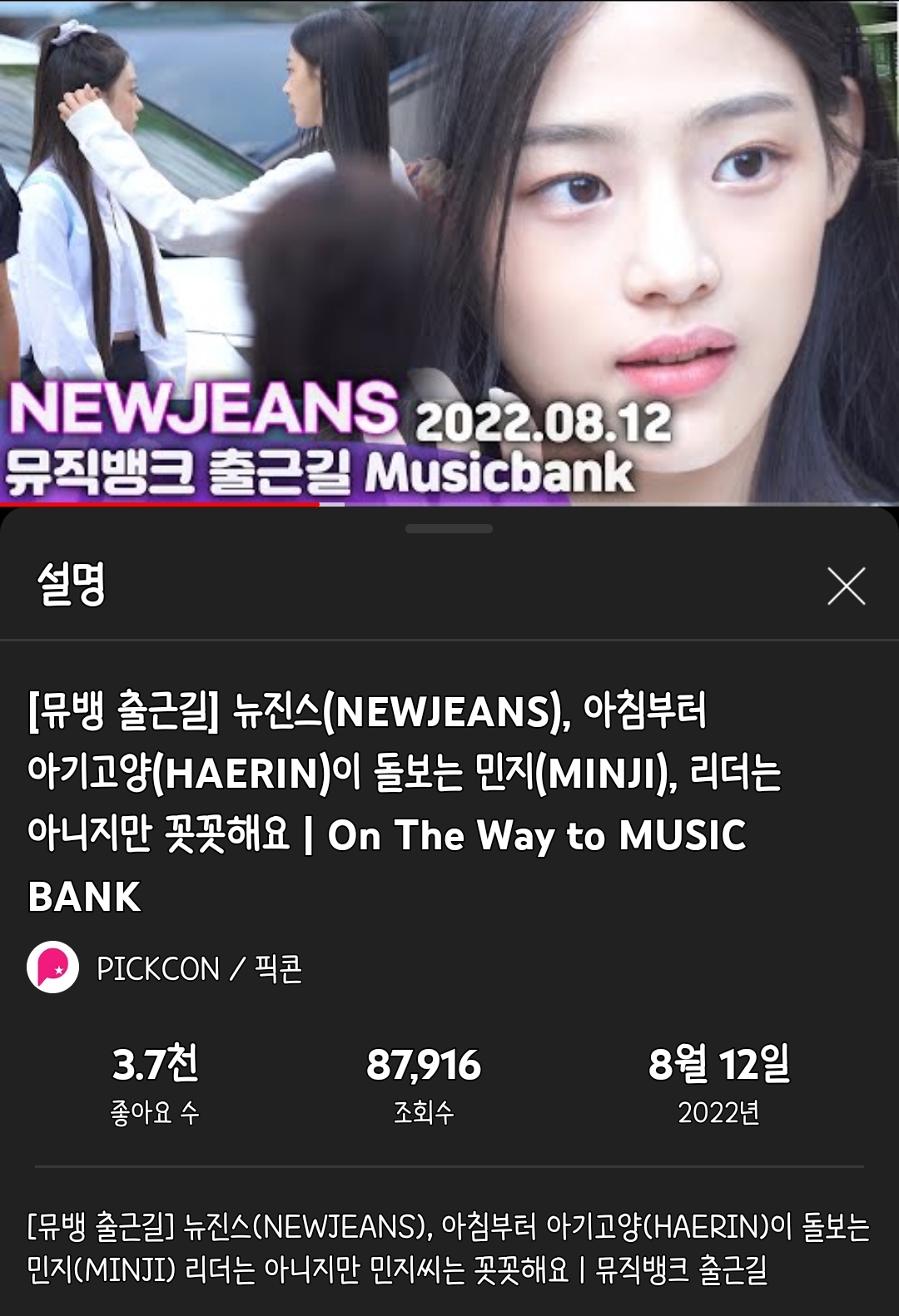 [잡담] 기자님 주접 왤케 잘해ㅋㅋㅋ근데 뉴진스엔 진짜 고양이가 있다구... | 인스티즈