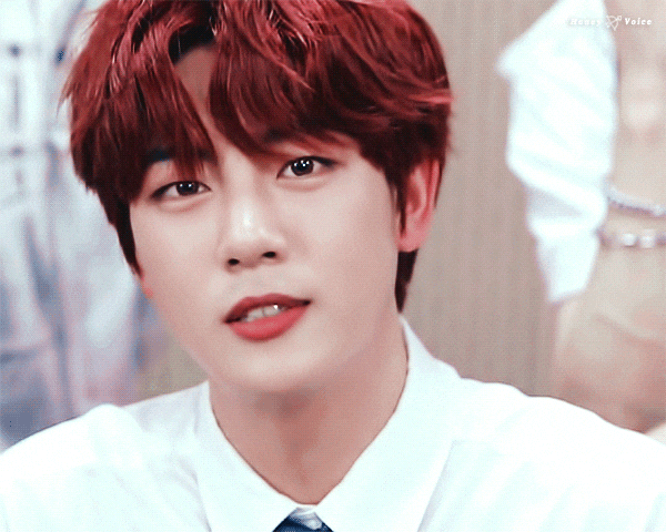 [잡담] 지범이는 빨머가왜케잘어울릴까 | 인스티즈