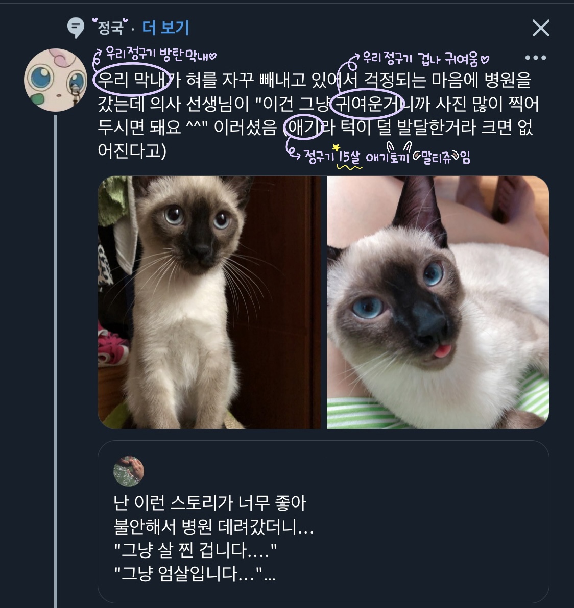 [잡담] 내 탐라에 방탄 정국 키워드로 뜬 트윗이 | 인스티즈