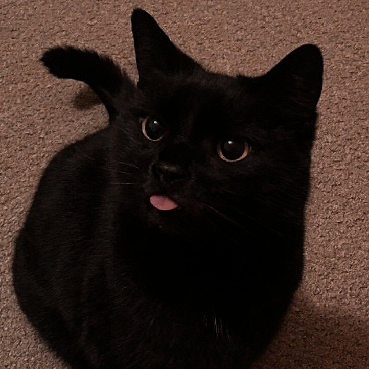 [잡담] 같은 깜고여도 완존 다름 | 인스티즈