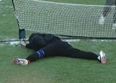 [잡담] 들튀를 해보자 | 인스티즈