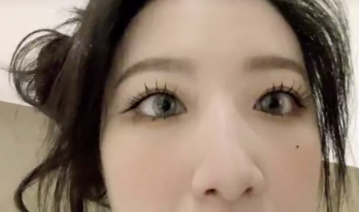 [잡담] 아기 늑대에서 말티쥬 되는 과정 | 인스티즈