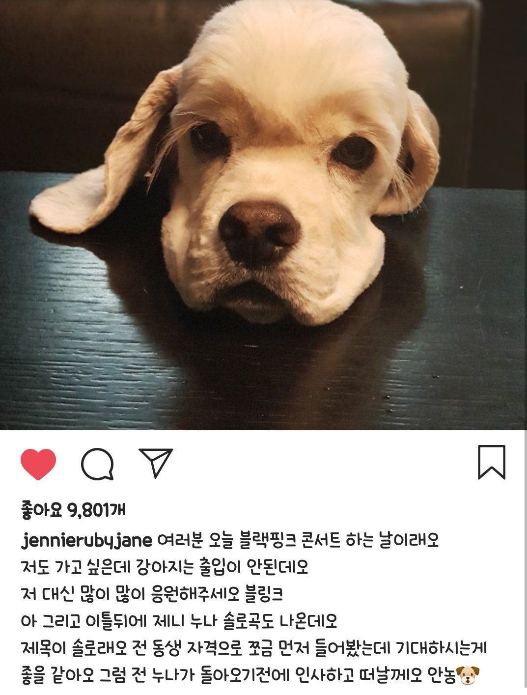 [잡담] 제니 첫 한국콘 홍보 게시물 | 인스티즈