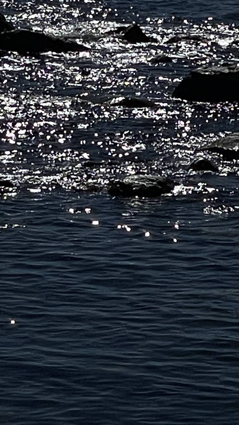 강원도는 진짜 신이 선물해 준 곳임 | 인스티즈