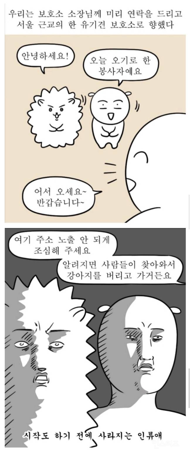 뇌성마비 고양이 미래 근황.jpg | 인스티즈