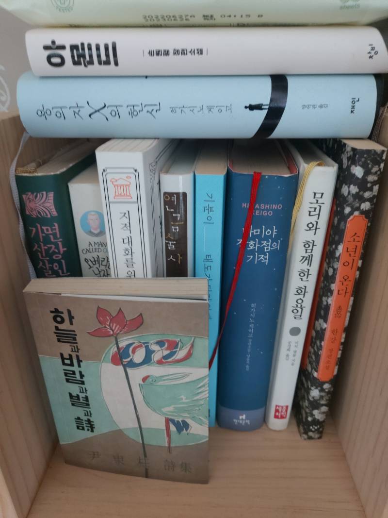 이중에 뭐부터 읽을지 골라주라 | 인스티즈