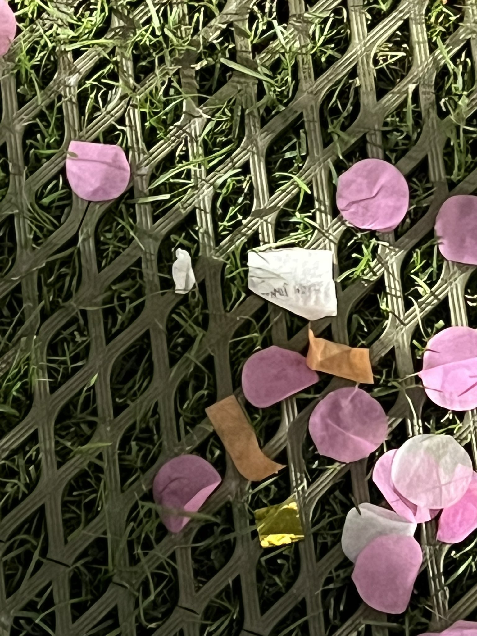 [잡담] 아이유 콘서트에 해찬 컨페티 있었나봨ㅋㅋㅋㅋㅋㅋ | 인스티즈