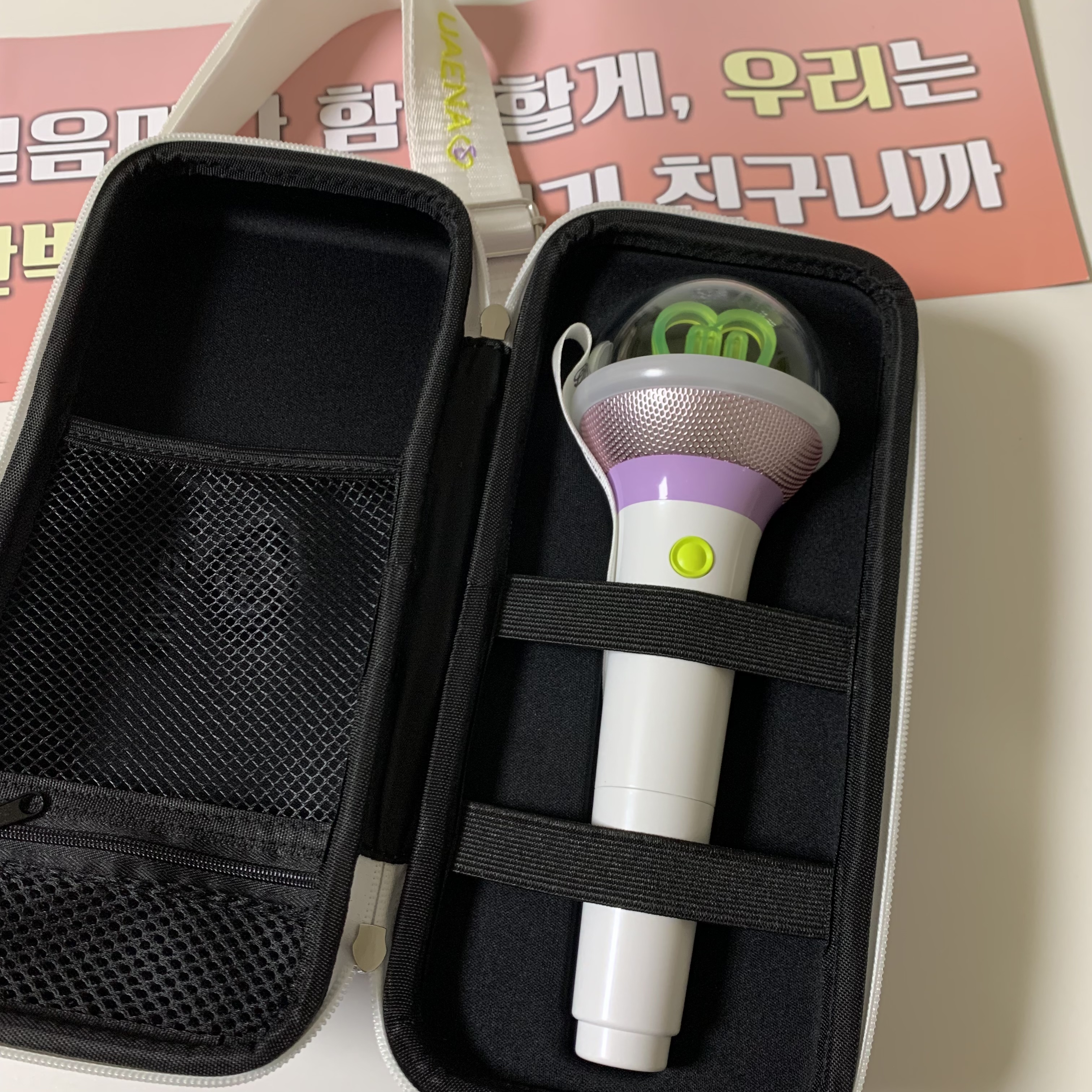 [잡담] 원래 아이크만 살려했었는데 유애나들 가방 메고 다니는 거 보니까 너무 예뻐서 아이크 가방까지 사버림 | 인스티즈