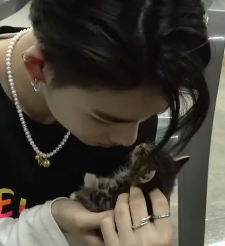 타로 보자 혜짱 😽 | 인스티즈