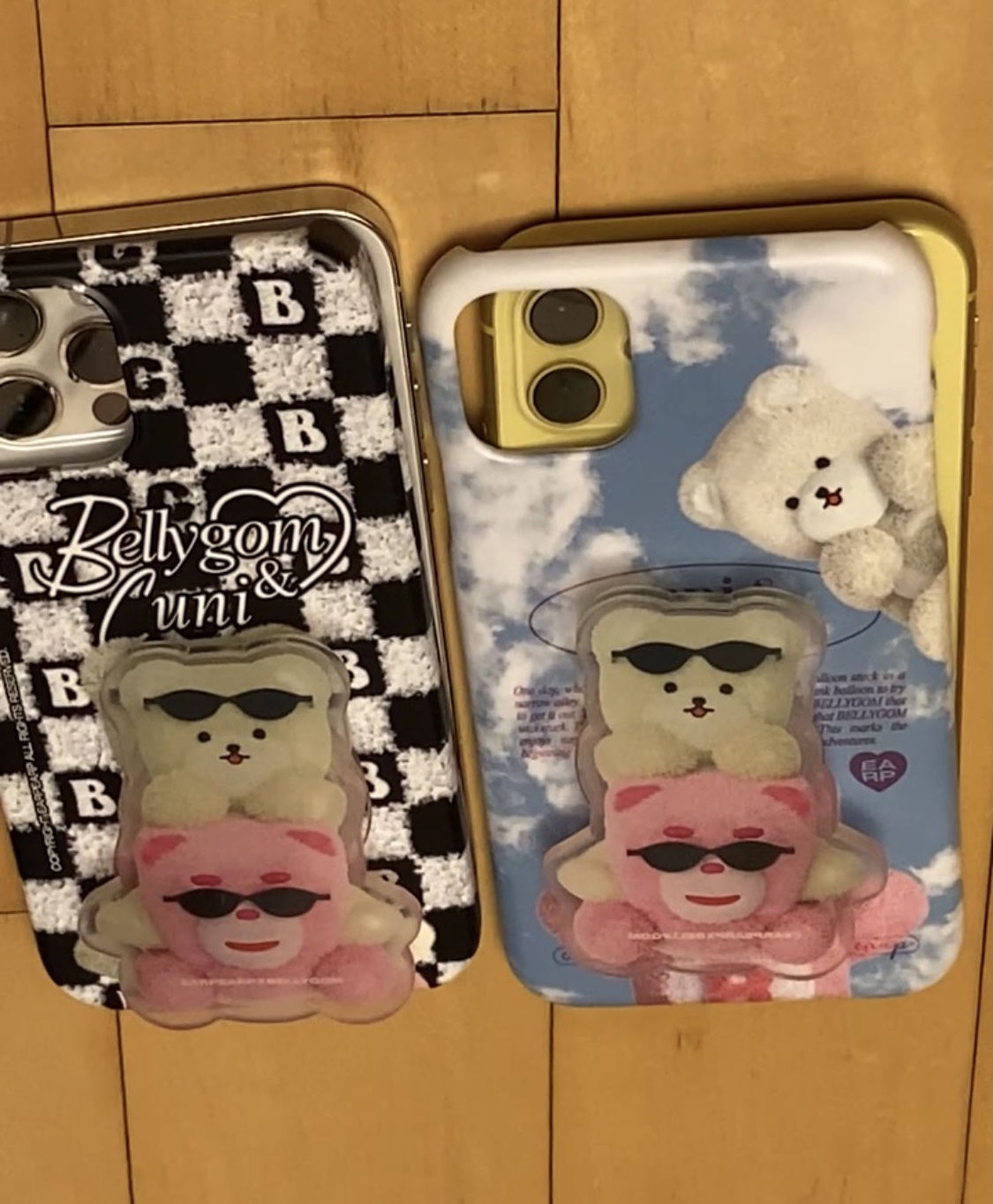 [잡담] 엔믹스 해원이랑 배이 폰케이스 바꾼거 ㄱㅇㅇ | 인스티즈