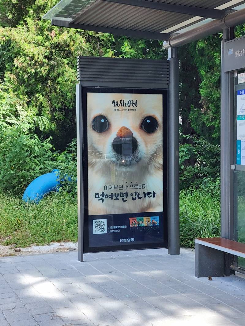 서울에 개고기 광고가? | 인스티즈