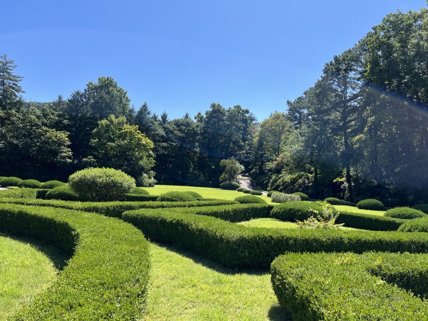 [잡담] 어제 뉴진스 다니엘이 올려준 화보 셀카 이쁘지 히히 | 인스티즈