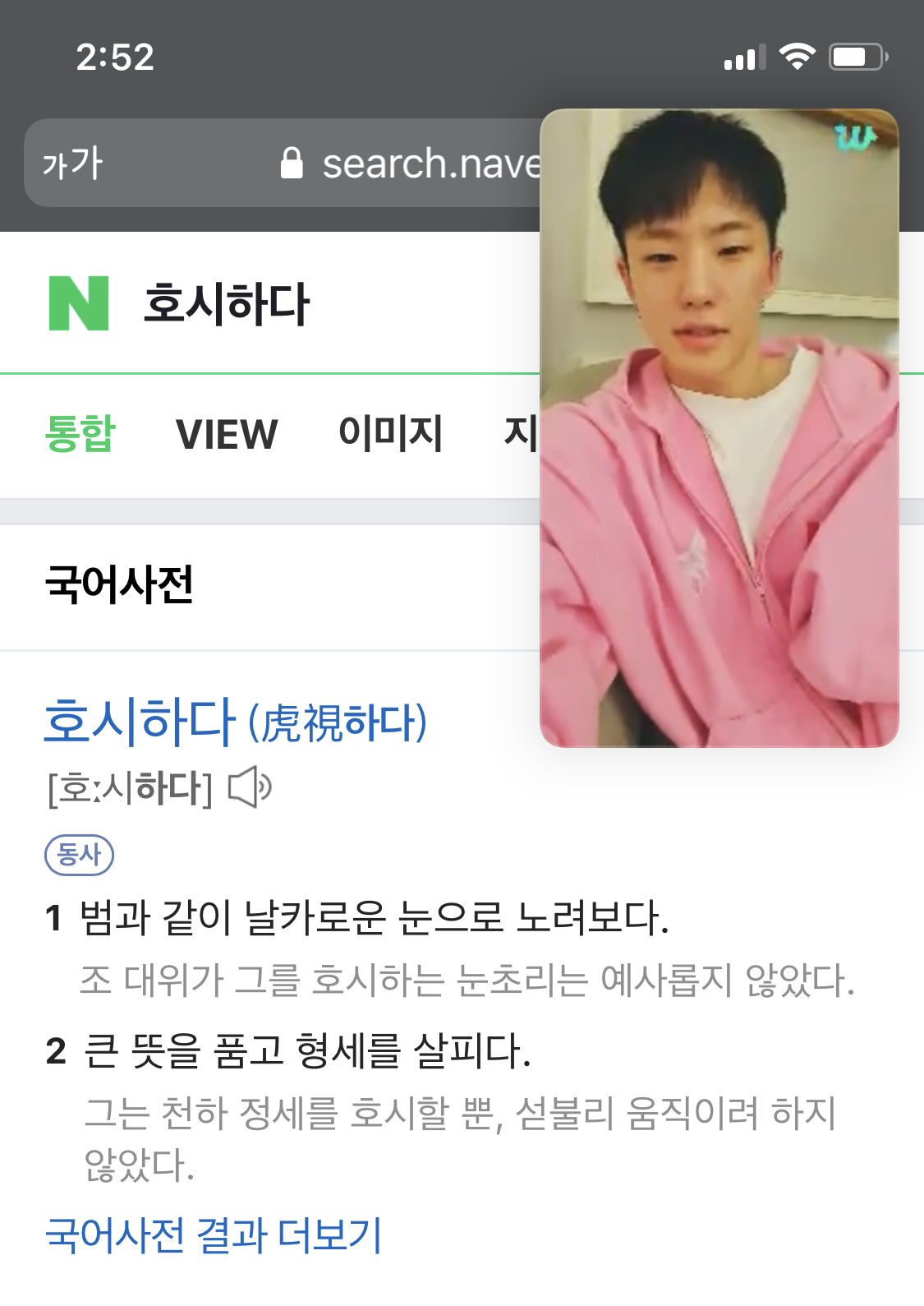 [잡담] 와 호시는 그냥 호랑이가 될 운명이었네,, | 인스티즈