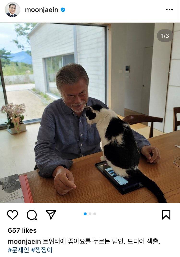 [잡담] ටㅏ 찡찡이가 트위터 좋아요 눌렀다는게 이거였냐곸ㅋㅋㅋㅋㅋㅋㅋ | 인스티즈