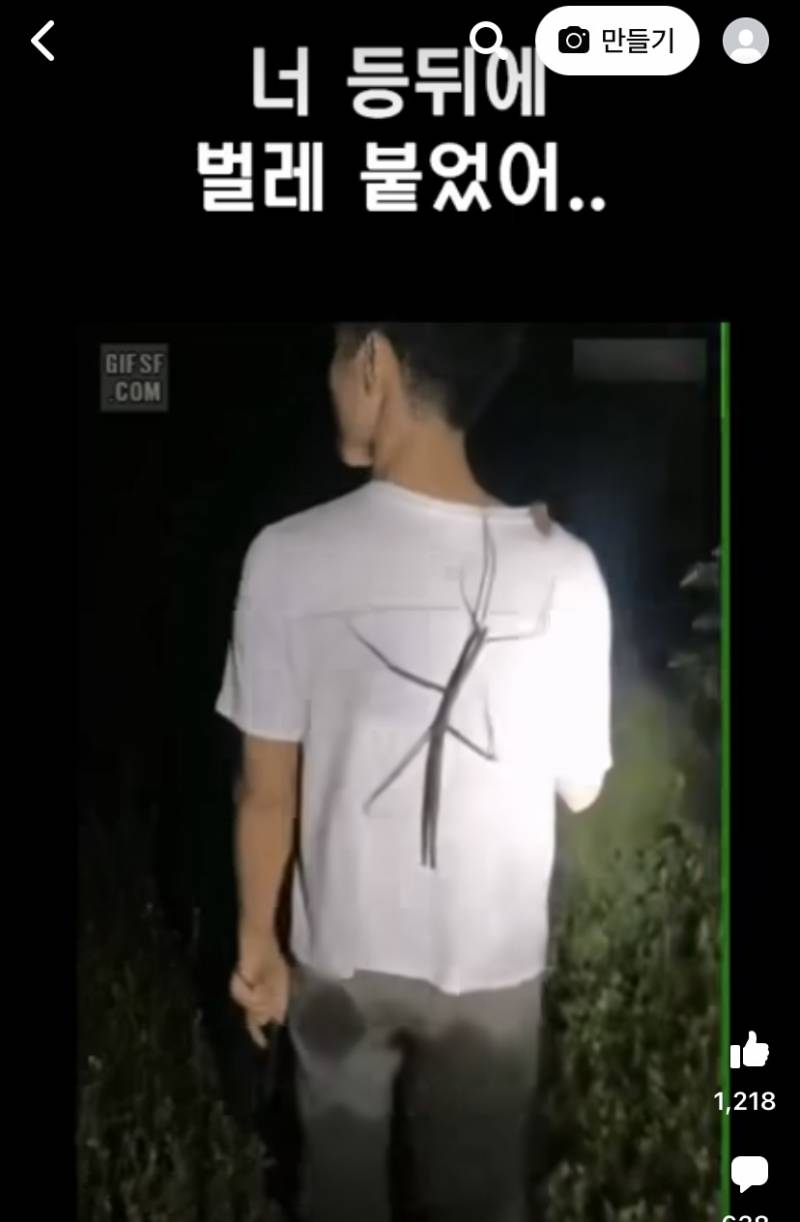 익들 등에 이 벌레 붙어있으면 어떻게 할거임..? 혐오주의 | 인스티즈