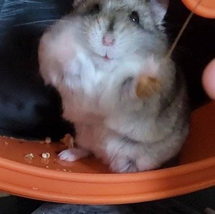 안아달래 | 인스티즈