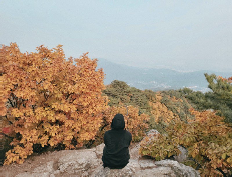 [잡담] 방탄 알엠이 20대 보내고 뉴챕터 시작하면서 써준 편지💜 | 인스티즈