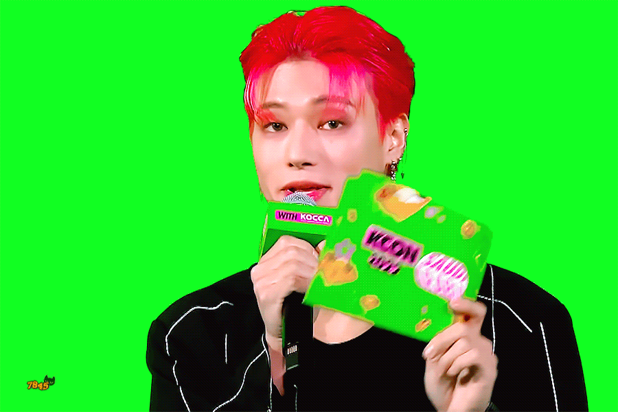 [잡담] 누가 초코비라고 한 거 보고 계속 그것만 떠오름 | 인스티즈