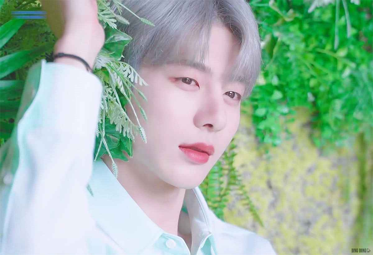 [잡담] 우리 막냉..보고싶다 | 인스티즈