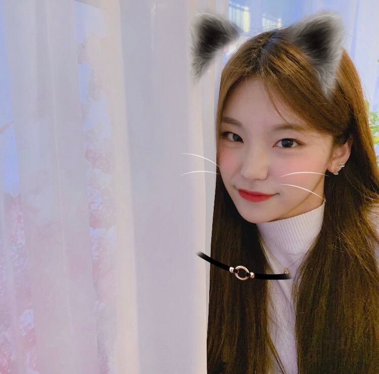 [잡담] 내가 조아하는 예지 과사들 | 인스티즈