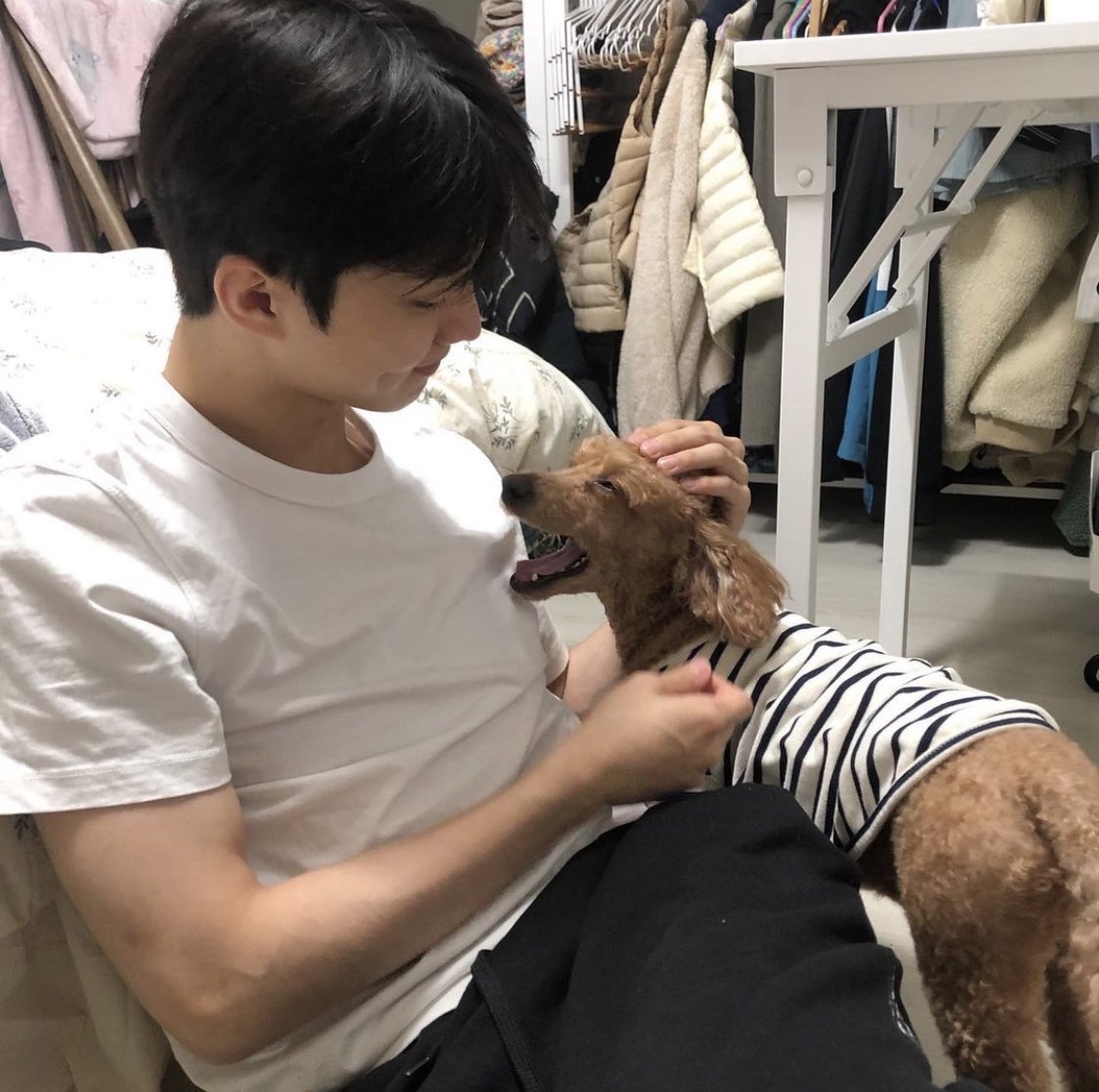 [잡담] 더보이즈 큐네 강아지 가나 짱귀 | 인스티즈