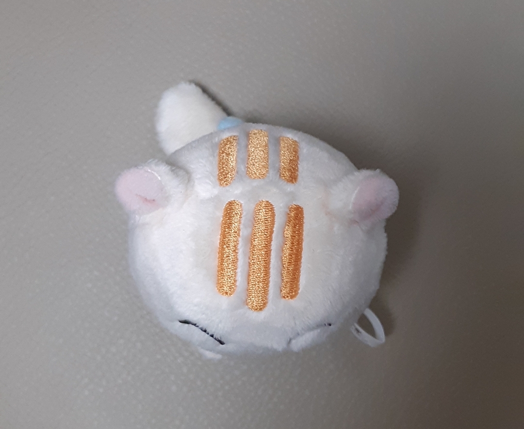 [잡담] 진심 내가 아는 솜뭉치 중에 제일 귀엽다 | 인스티즈