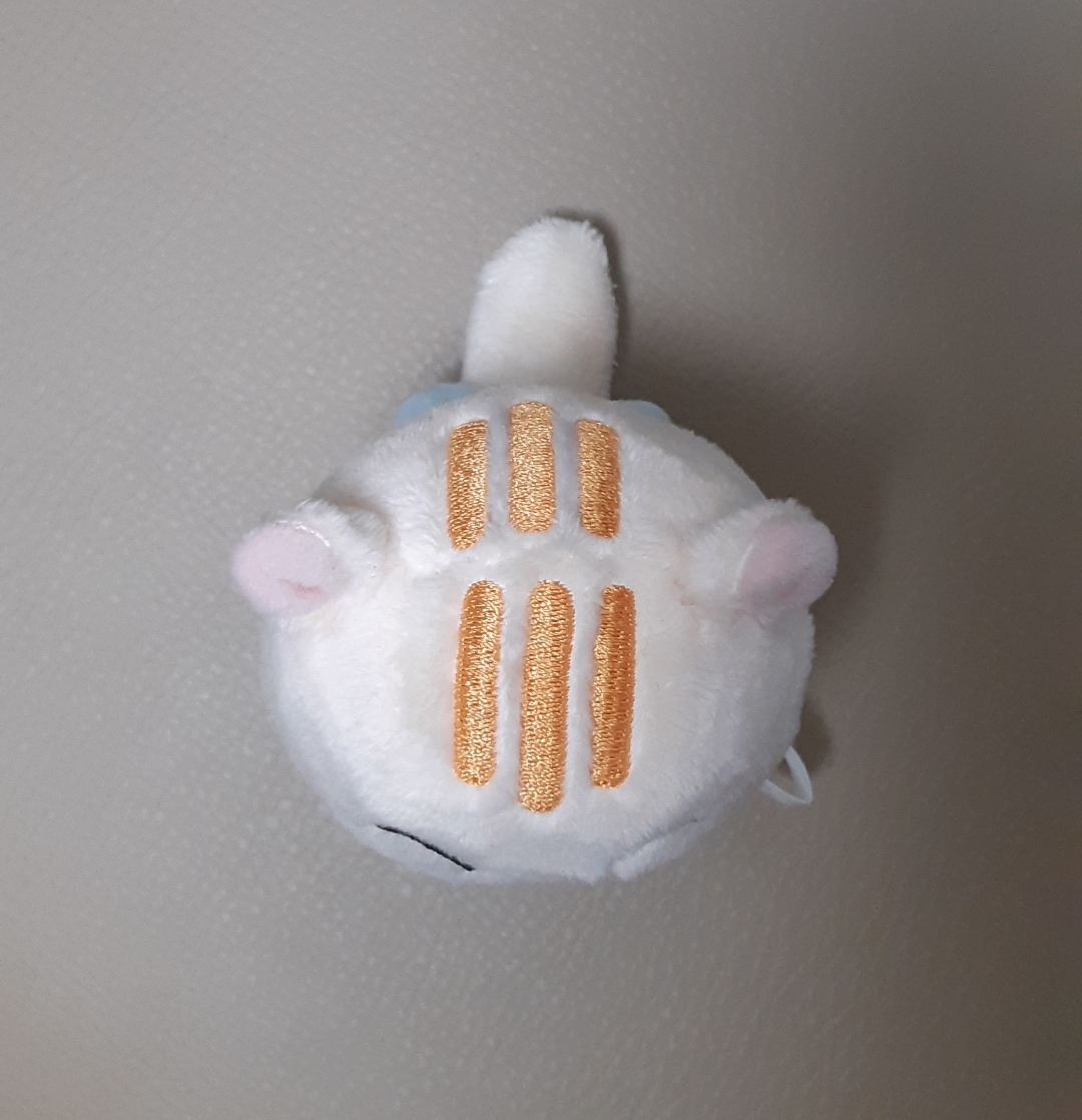 [잡담] 진심 내가 아는 솜뭉치 중에 제일 귀엽다 | 인스티즈