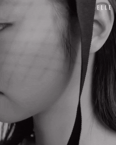 [잡담] 이번 엘르 30주년 기념 11월호 커버에 샤넬 엠버서더 총출동했네 | 인스티즈