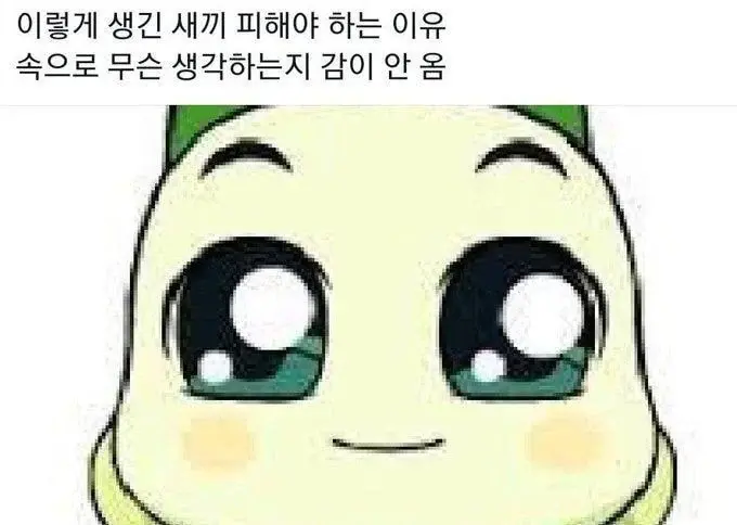[잡담] 대충 살자 운석이 떨어지든 말든 지구젤리 먹방하는 홍은채처럼 | 인스티즈