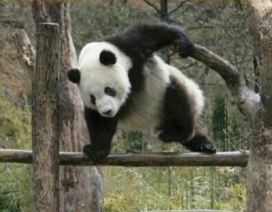 [잡담] 하앀ㅋㅋㅋㅋ방탄군대 이 짤 개웃기네 진짜 | 인스티즈