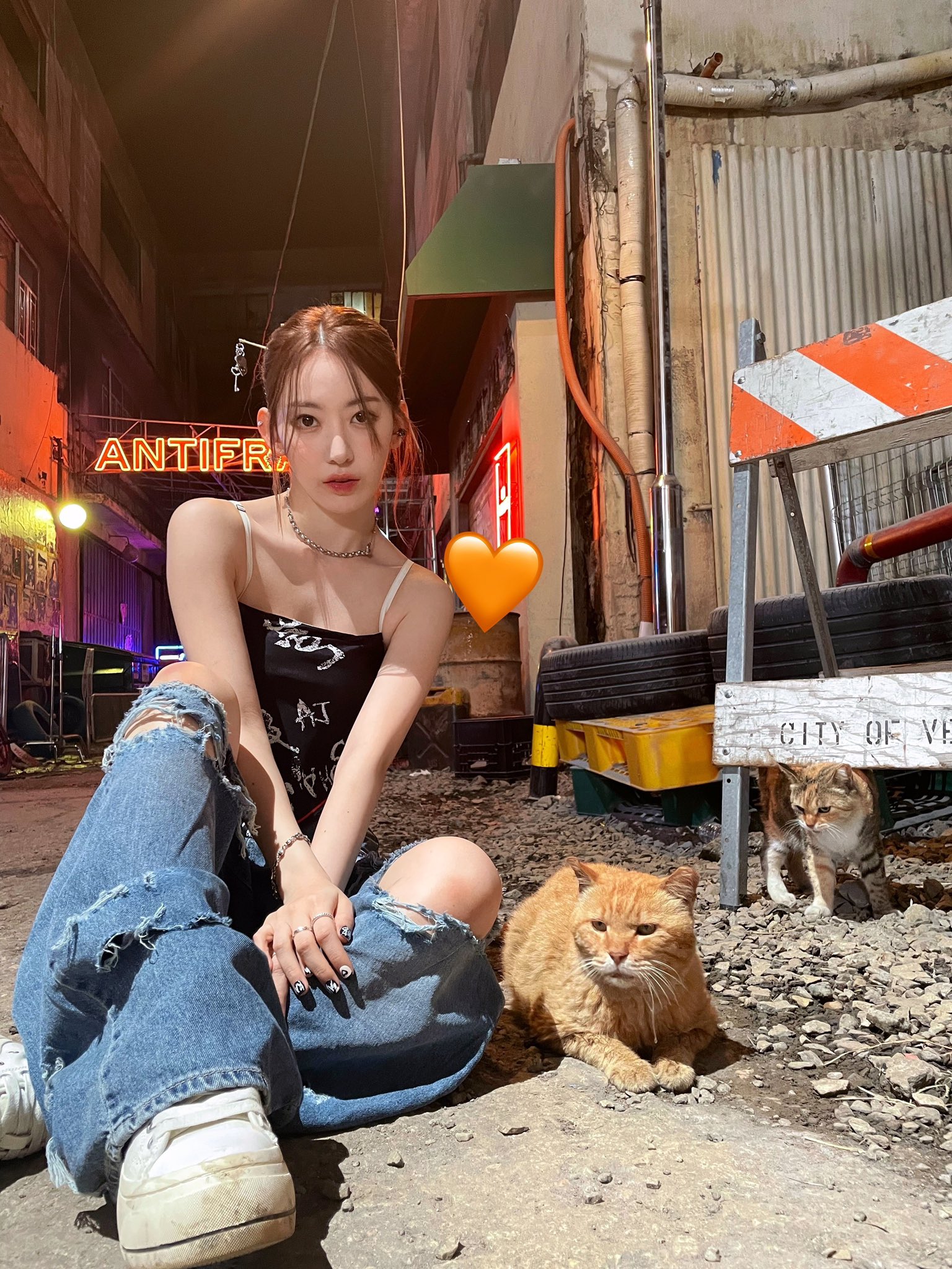 [잡담] 사쿠라 고양이 보다 더 고양이 같다 | 인스티즈