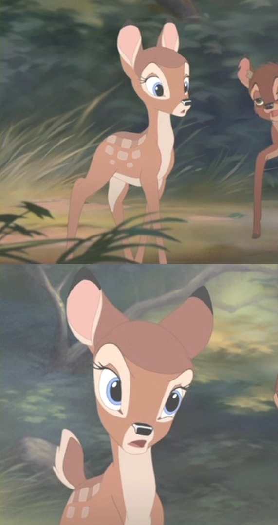 [잡담] 설윤이 진짜 사슴상이구나 | 인스티즈