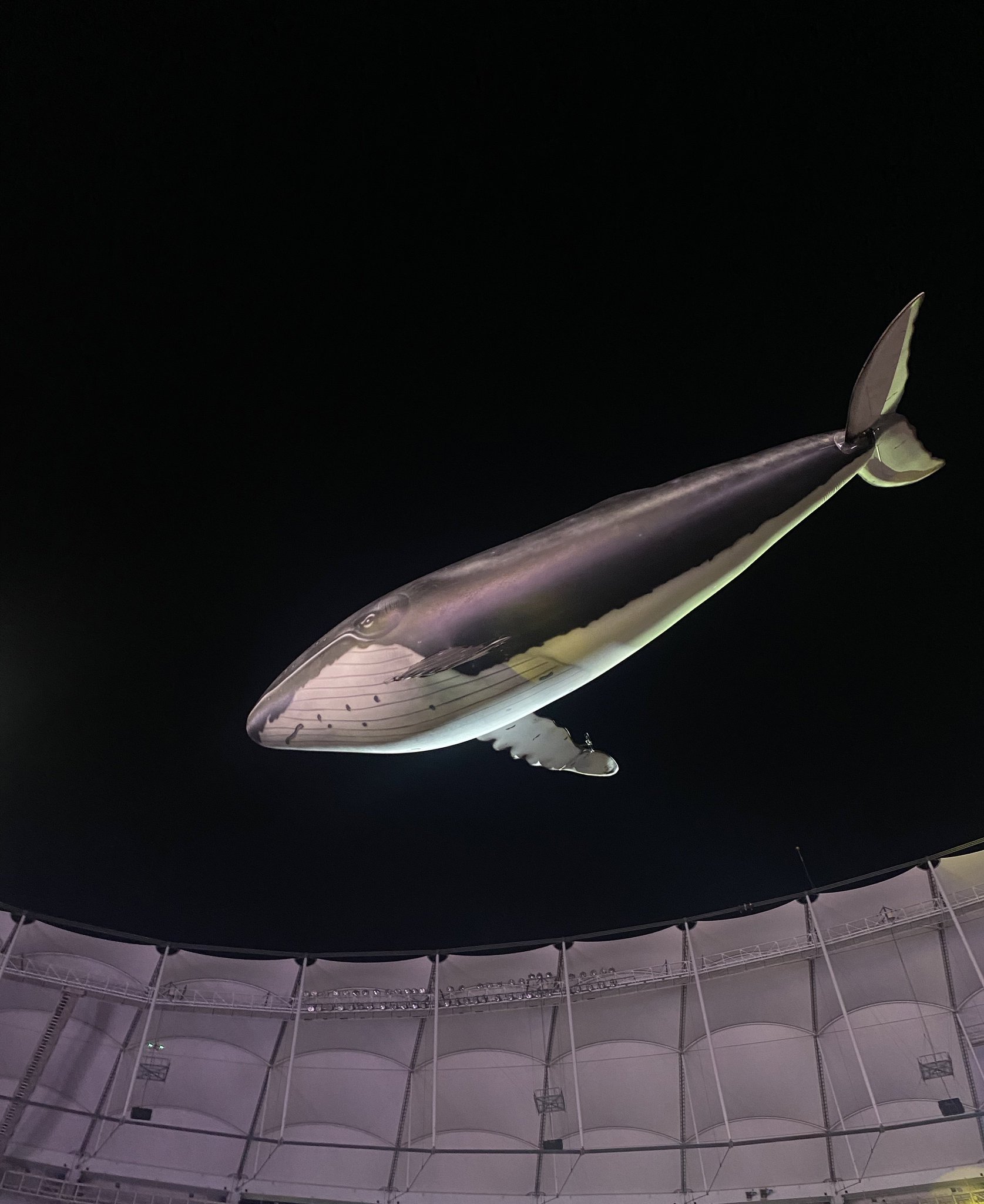 [잡담] 방탄 부산콘 고래 | 인스티즈