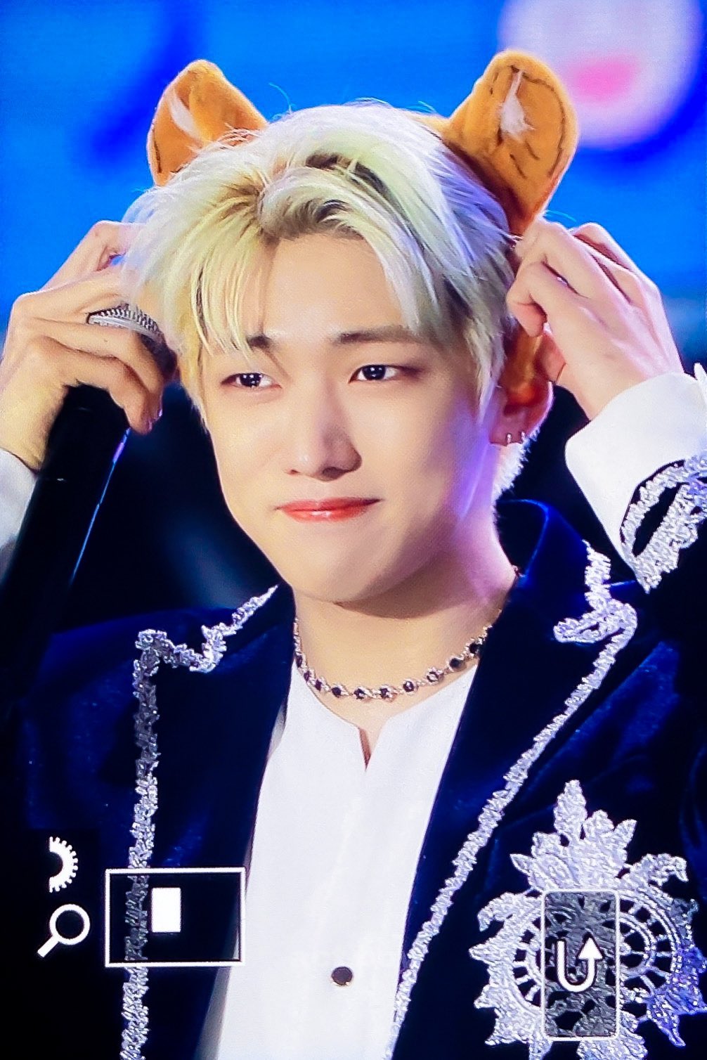 [잡담] 하... 울 강아지 예뻐 죽겠어 ㅠㅠㅠㅠㅠㅠㅠ | 인스티즈