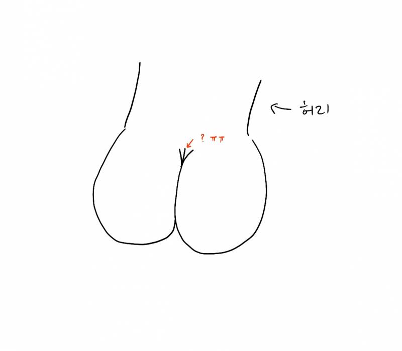내 온도니는 왜 이런겨 엉덩이 골이 이상함 (그림) | 인스티즈