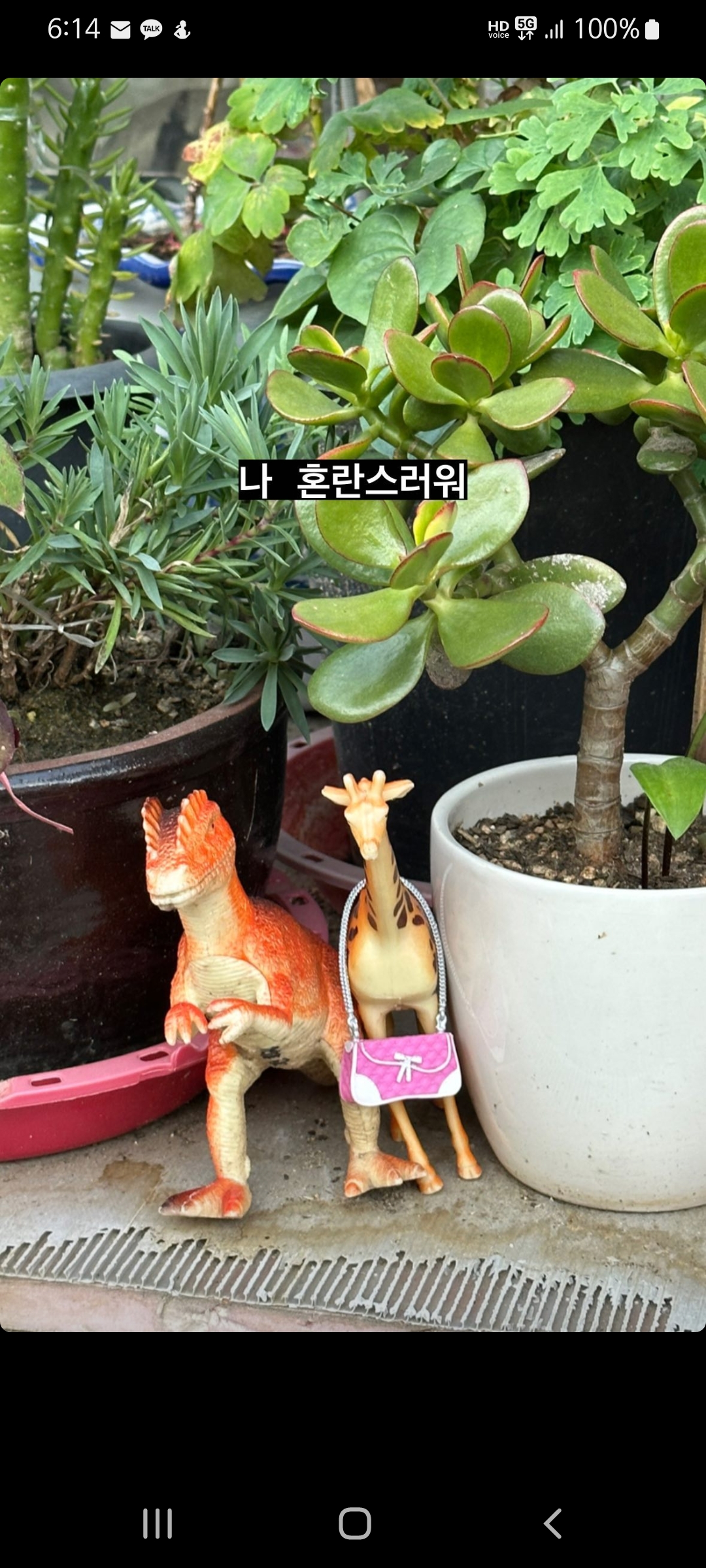 [잡담] 아 양요섭 개웃기넼ㅋㅋㅋㅋㅋㅋㅋㅋㅋㅋㅋㅋㅋㅋ | 인스티즈