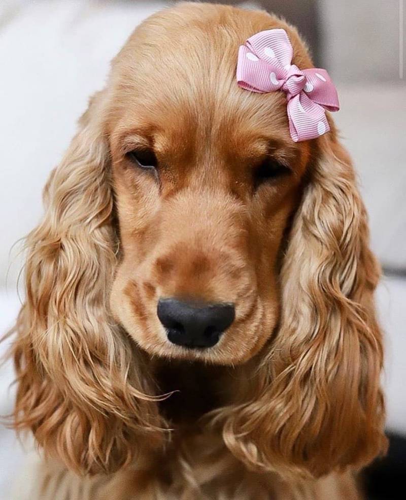 직모익 절대 펌 안 하는 이유 | 인스티즈