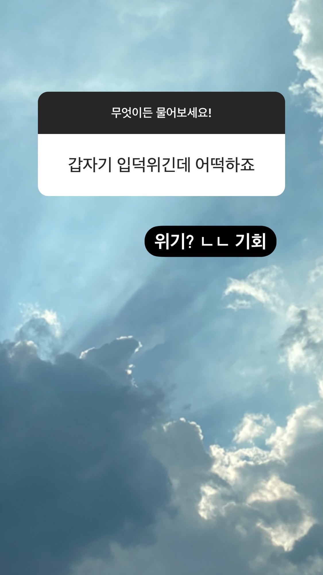 [잡담] 할라 입덕위기인 사람들에게..❤️ | 인스티즈