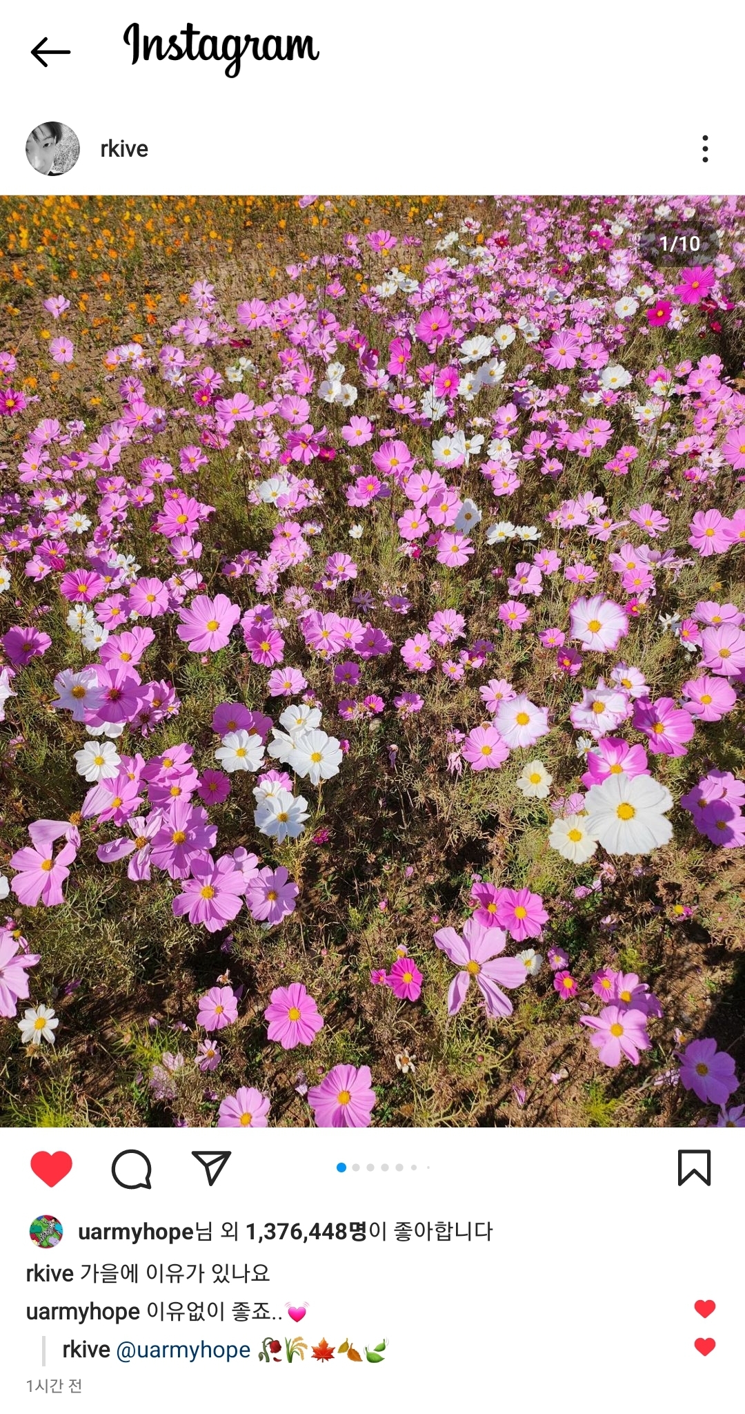 [잡담] 방탄 알엠이랑 제이홉 인스타 댓 뭔데 | 인스티즈