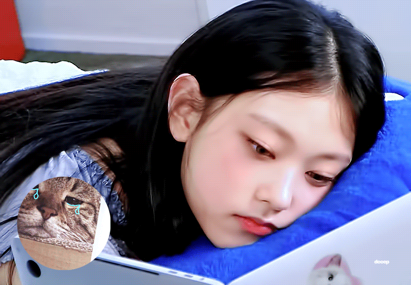 [잡담] 내가 좋아하는 고양이의 정석 둘 | 인스티즈