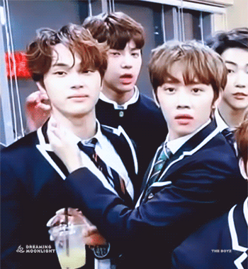 [잡담] 우리집 기염이들 | 인스티즈