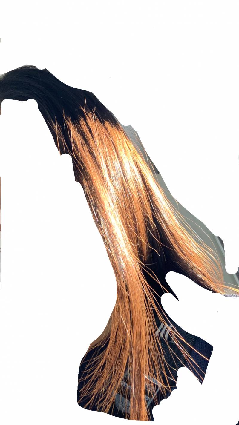 다들 머리 빛 받으면 이정도함?? | 인스티즈