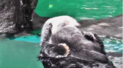 13일 월요일 오후 직장익들 다들 지치고 고되겠지 | 인스티즈