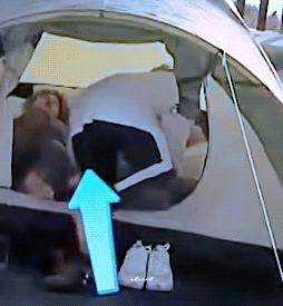 [잡담] 방탄 정국 제이홉한테 앵길 때 넘 행복해보여 어미 품 파고드는 갱얼쥐같음 | 인스티즈