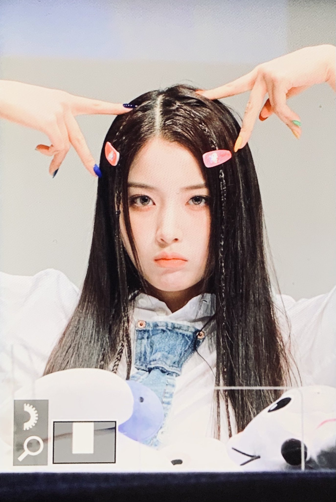 [잡담] 냥이가 되고픈 강쥐 | 인스티즈