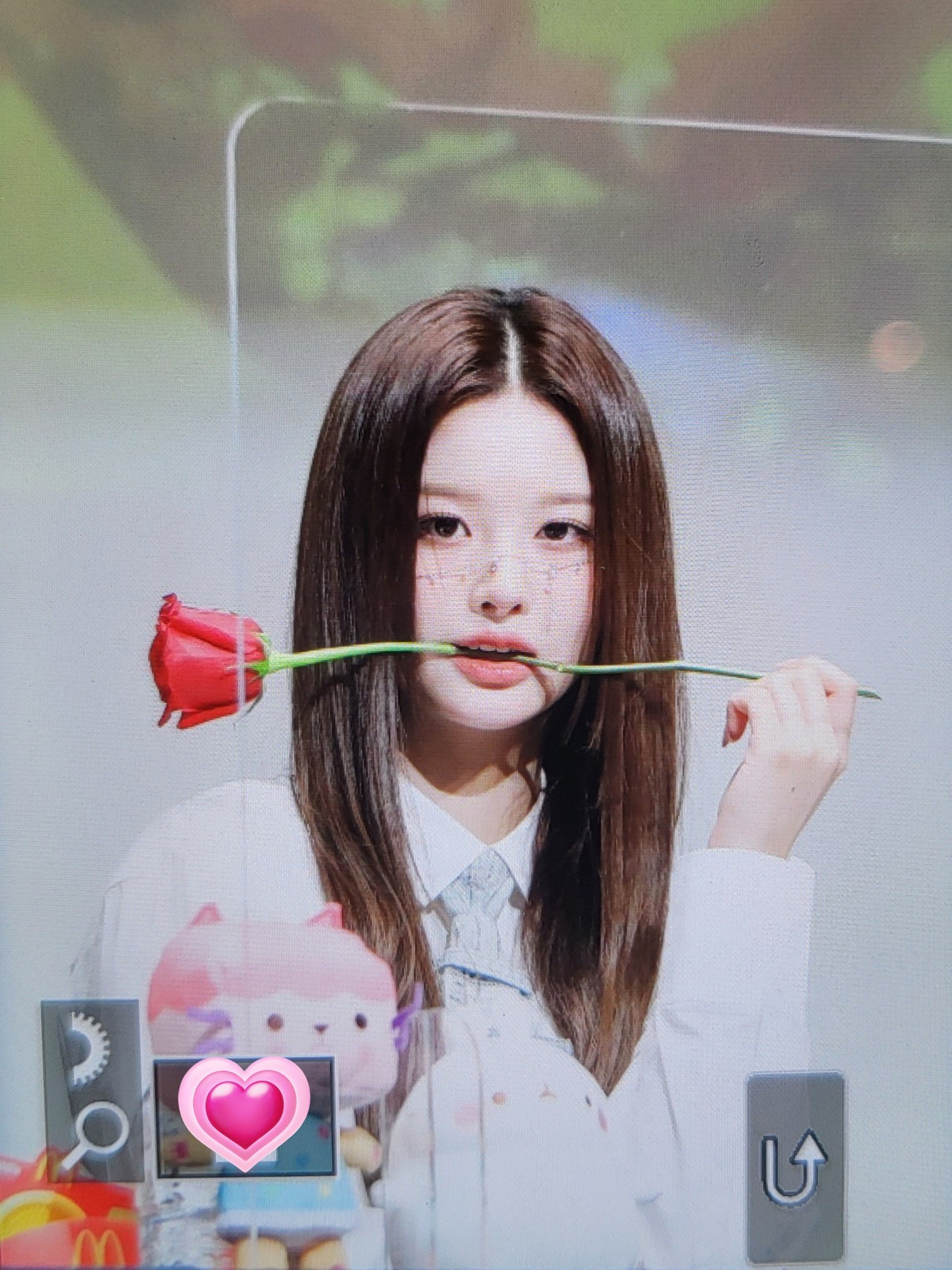 [잡담] 하 설윤아 장미 물었다 | 인스티즈