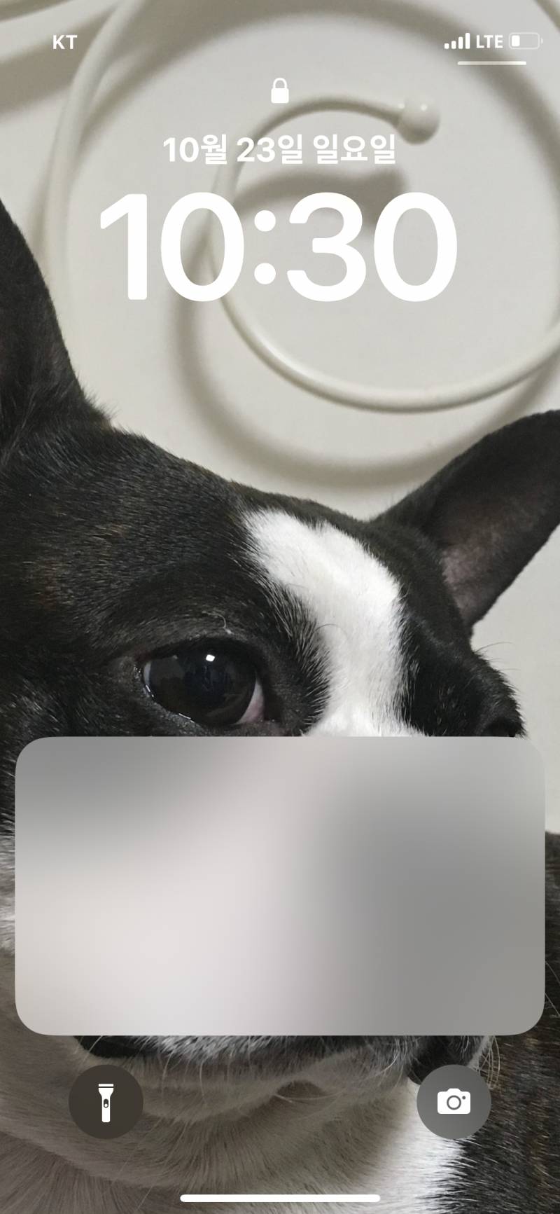 아이폰 이거 어케 없애?????? | 인스티즈