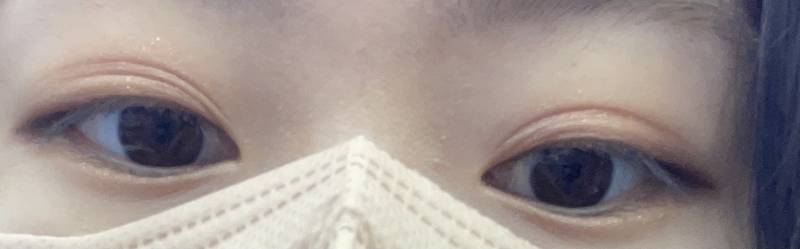 어제 고양이 영상 보고 펑펑 울고 잤더니만 | 인스티즈